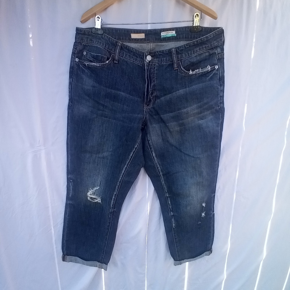 Anthropologie Dark Blue Distressed Jeans Size 16W